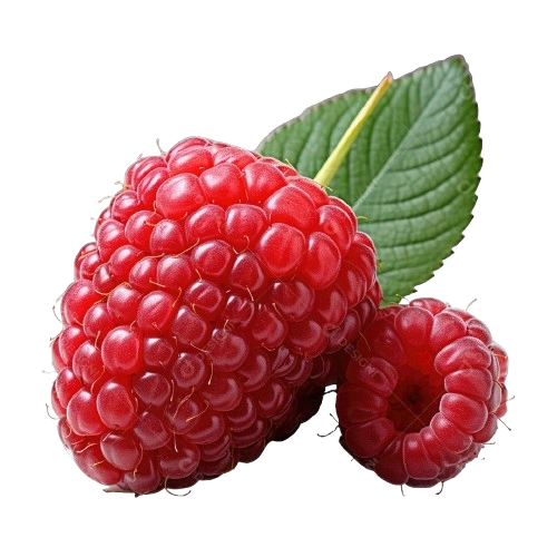 Glycovit™ Raspberry Ketones metabolic support ingredient